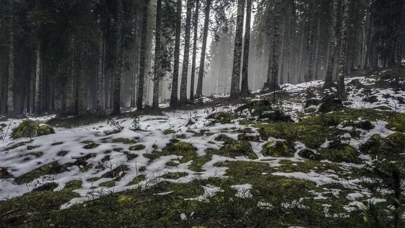 Сборная России по биатлону выиграла масс-старт