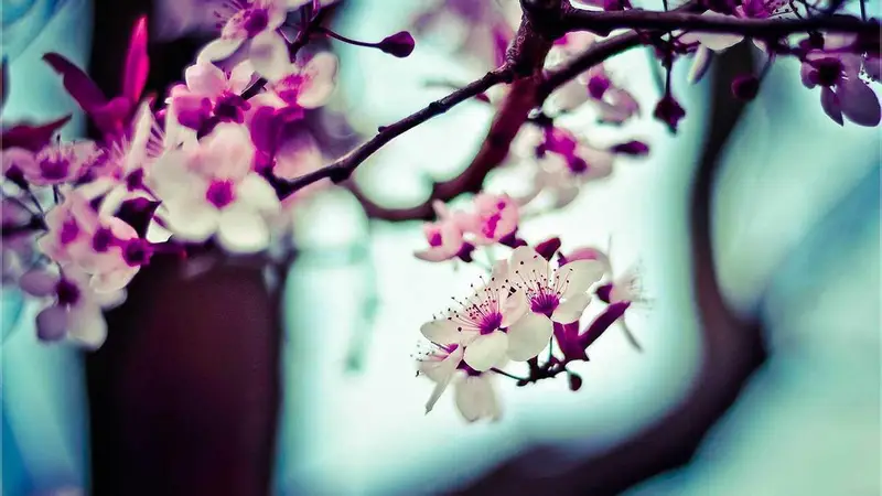 Аукцион по продаже бренда оказался безуспешным