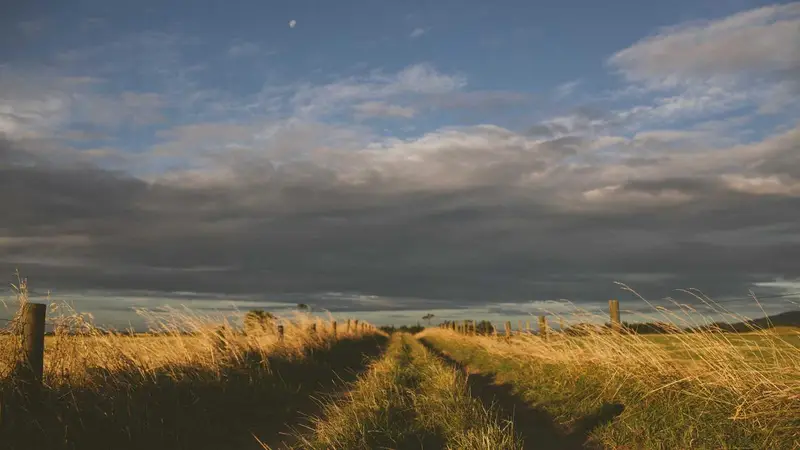 Российские IT-компании выходят на рынок ОАЭ