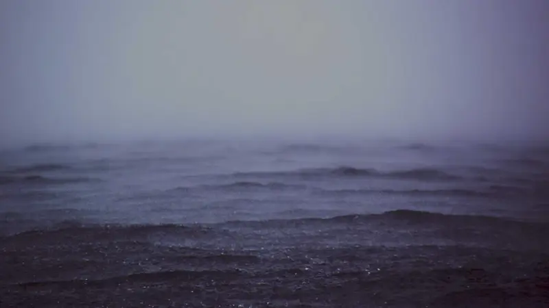 Ритейлеры предупредили о росте цен на овощи